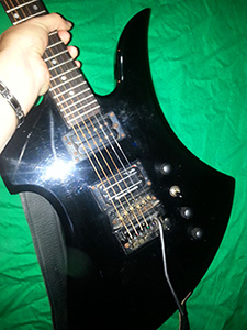 BCRichMockingbird